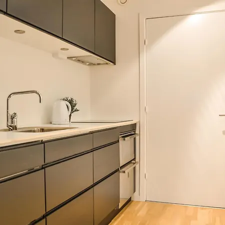 Apartment Awesome In With Kitchen *