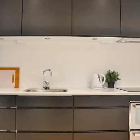 Apartment Awesome In With Kitchen *